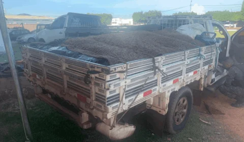 Polícia Militar apreende 900 kg de pescado irregular em fiscalização ambiental no Acre