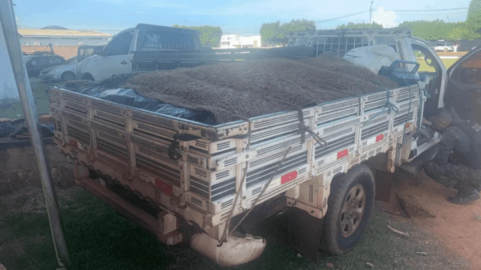 Polícia Militar apreende 900 kg de pescado irregular em fiscalização ambiental no Acre