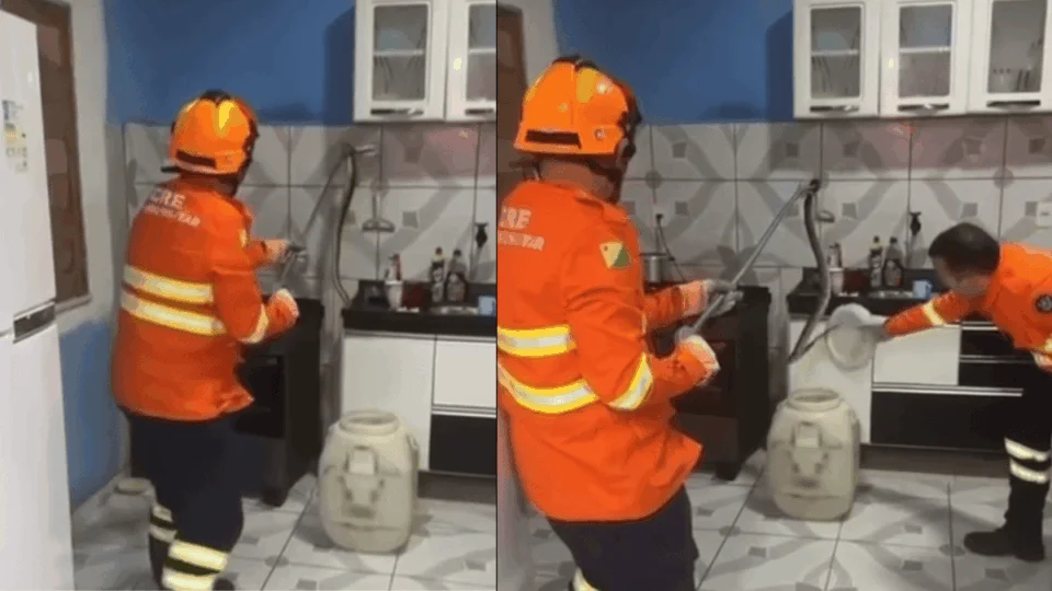 VÍDEO: cobra surucucu é encontrada em cozinha no interior do Acre e mobiliza Bombeiros