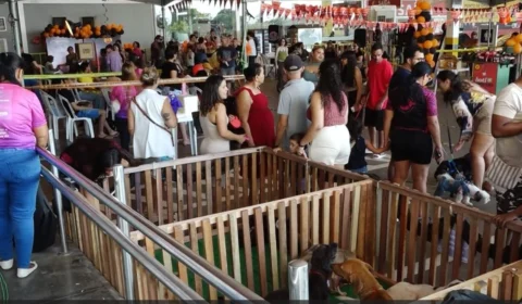 VÍDEO: Evento de Halloween reúne mais de 300 animais fantasiados em Porto Velho