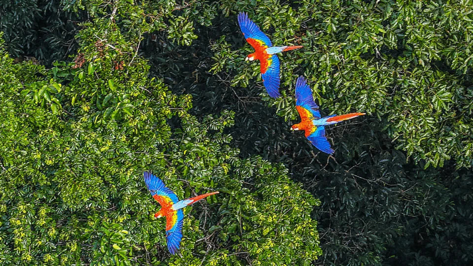 Acre será beneficiado com recursos em programa para recuperar áreas degradadas em assentamentos rurais