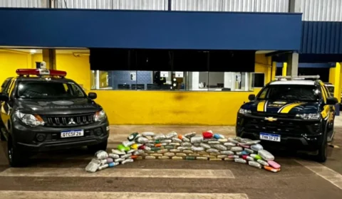 VÍDEO: PRF apreende mais de 68 quilos de skunk na BR-364 em Pimenta Bueno (RO)