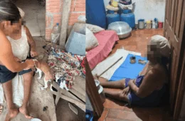 Polícia Civil resgata cadela vítima de maus-tratos e encontra idosa em vulnerabilidade no Acre