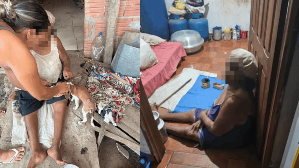 Polícia Civil resgata cadela vítima de maus-tratos e encontra idosa em vulnerabilidade no Acre