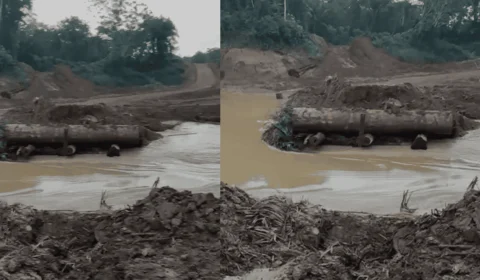 Madeireira desobstrui rio no Acre após ação do Ministério Público