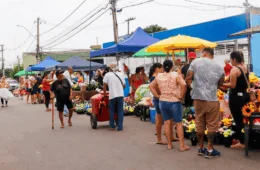 Diocese de Rio Branco celebra Dia de Finados com missas em cemitérios da capital; veja a programação