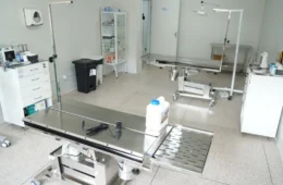 VÍDEO: Clínica de Bem-Estar Animal é inaugurada e oferece atendimento gratuito em Porto Velho