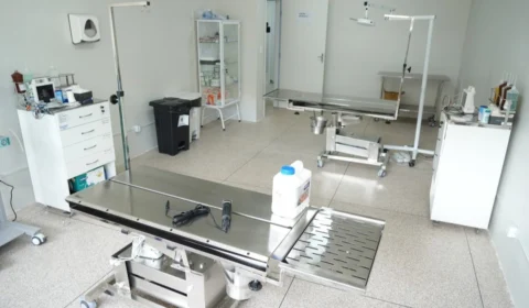 VÍDEO: Clínica de Bem-Estar Animal é inaugurada e oferece atendimento gratuito em Porto Velho