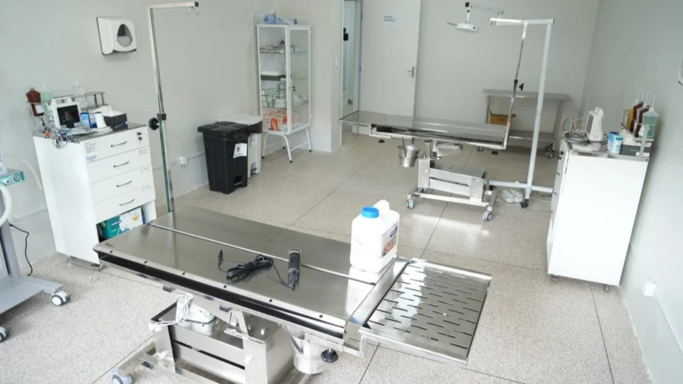 VÍDEO: Clínica de Bem-Estar Animal é inaugurada e oferece atendimento gratuito em Porto Velho