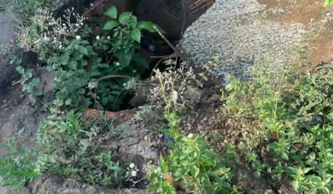 VÍDEO: Moradores reclamam de matagal e bueiros sem tampa na zona Sul de Porto Velho