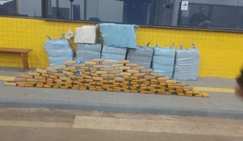 PRF apreende mais de meia tonelada de drogas em operações na BR-364 em Rondônia