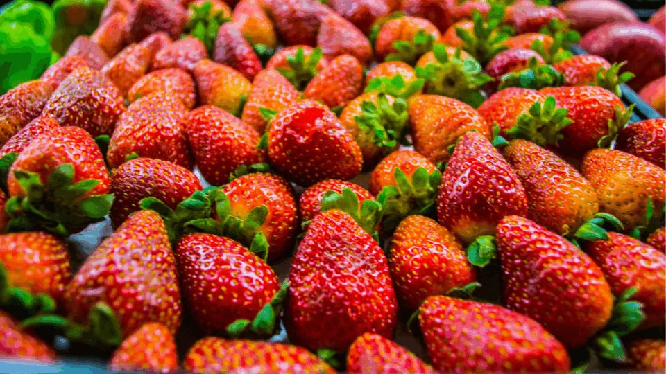 Morangos mais baratos e frescos devem chegar ao mercado acreano após acordo com o Peru