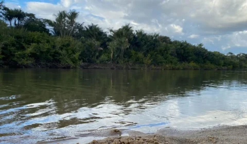 Mutirão ‘Nossos Rios Sem Plástico’ marca comemoração dos 36 anos da UFRR