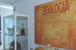 Acervo do Museu Integrado de Roraima é preservado no Parque Anauá