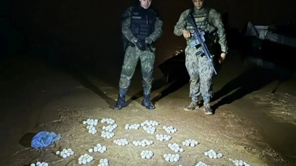 PM do Tocantins resgata tartarugas e mais de 500 ovos transportados ilegalmente no Rio Araguaia