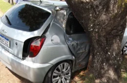 Motorista bate em árvore após tentar desviar de caminhão no bairro 31 de Março