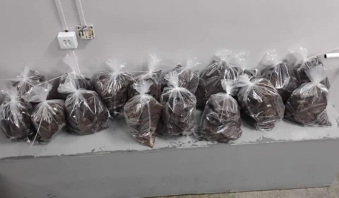 Cocaína negra avaliada em R$ 19,5 milhões é apreendida em mansão de luxo na Ponta Negra, em Manaus; veja vídeo