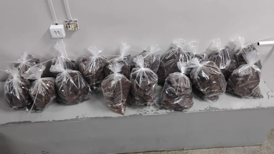 Cocaína negra avaliada em R$ 19,5 milhões é apreendida em mansão de luxo na Ponta Negra, em Manaus; veja vídeo