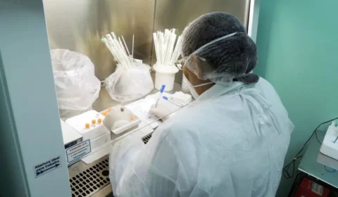 Esporotricose avança no Amazonas e causa primeira morte; infectologista alerta sobre prevenção