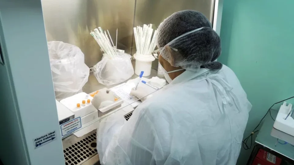 Esporotricose avança no Amazonas e causa primeira morte; infectologista alerta sobre prevenção