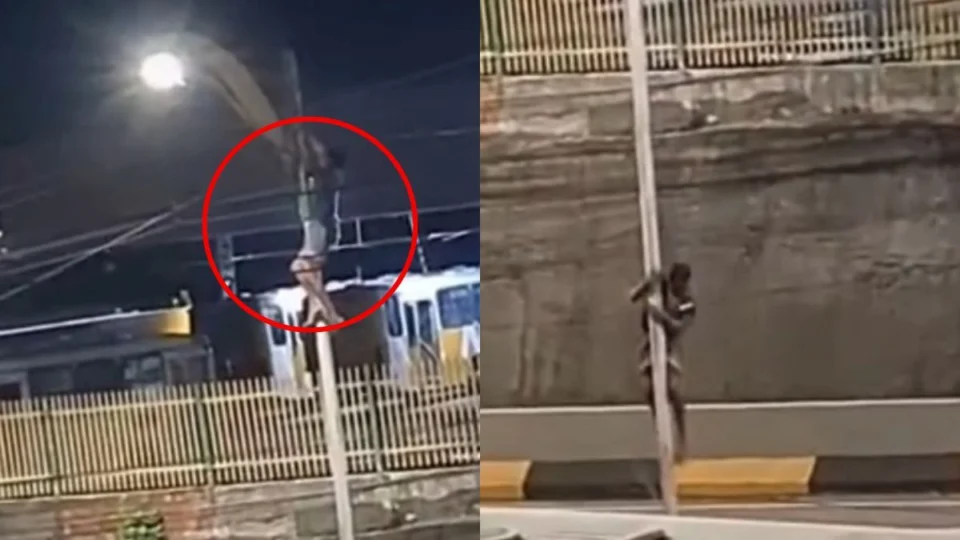 VÍDEO: homem escala poste para furtar fios no bairro São José, em Manaus; veja momento