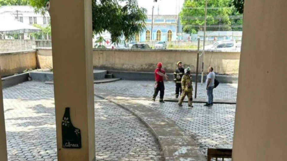 Onça-parda é vista no Centro de Boa Vista e provoca interdição de ruas