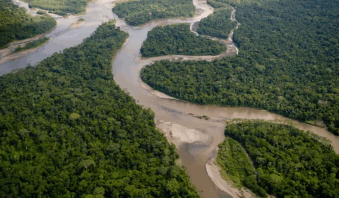 Saiba como será a expedição do Grupo Norte pela Amazônia antes da COP30