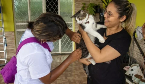 Vacinação antirrábica começa em Manaus e deve imunizar mais de 280 mil animais; saiba como vacinar seu pet