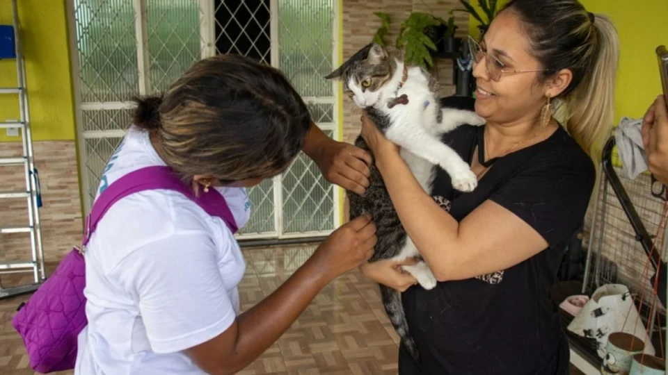 Vacinação antirrábica começa em Manaus e deve imunizar mais de 280 mil animais; saiba como vacinar seu pet