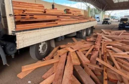 PRF realiza apreensão de madeira sem licença ambiental na BR-364 em Vilhena