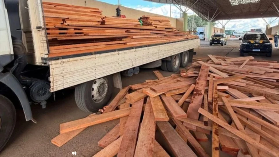 PRF realiza apreensão de madeira sem licença ambiental na BR-364 em Vilhena