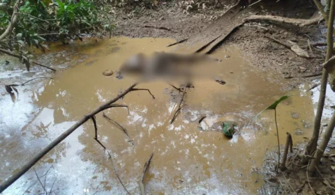 Corpo em decomposição é encontrado em matagal no bairro Aponiã em Porto Velho
