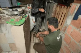 Casa investigada vira alvo de nova ação e mais de 20 animais são resgatados em Manaus