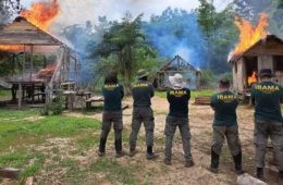 Operação federal remove invasores e desativa estruturas ilegais em Terra Indígena no Acre