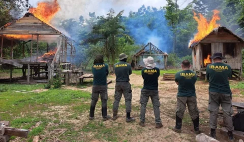 Operação federal remove invasores e desativa estruturas ilegais em Terra Indígena no Acre