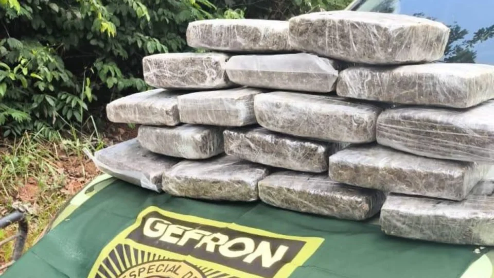 Polícia apreende 18 kg de maconha em área isolada da Resex Chico Mendes, no interior do Acre