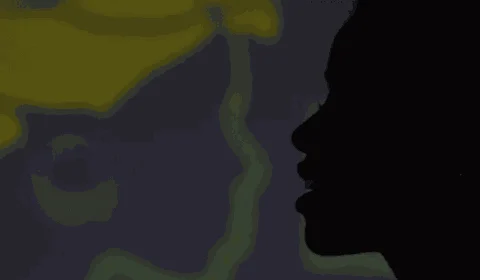 Tese compara Brasília a Johanesburgo e questiona: ‘planejada para quem?’