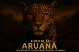 Operação Aruanã cumpre decisão judicial de desocupação na Estação Ecológica de Samuel