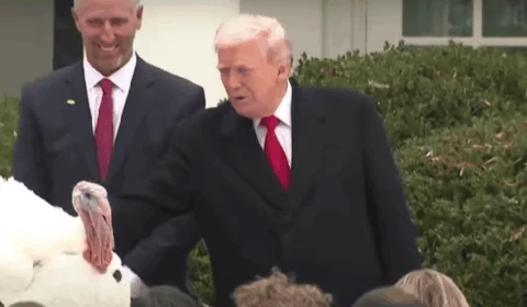 Donald Trump concede perdão a perus; entenda tradição