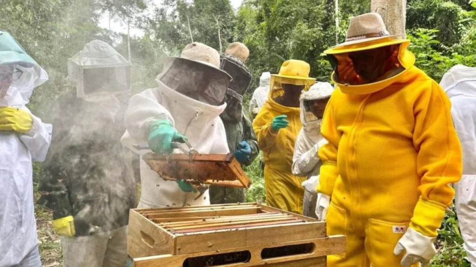 Acre impulsiona cadeia do mel e encerra 2025 com produção de 12 toneladas