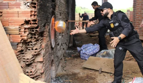 Polícia Civil do Acre incinera meia tonelada de drogas e causa prejuízo milionário ao crime organizado