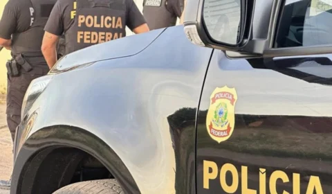 Operação Natova mira grupo que explorava madeira ilegal em Espigão e Cacoal