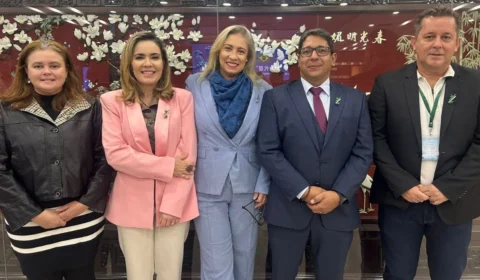 Acreanos voltam da China com especialização em bambu