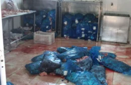 Técnico de indústria é condenado por comercializar carne imprópria destinada a escolas do Acre