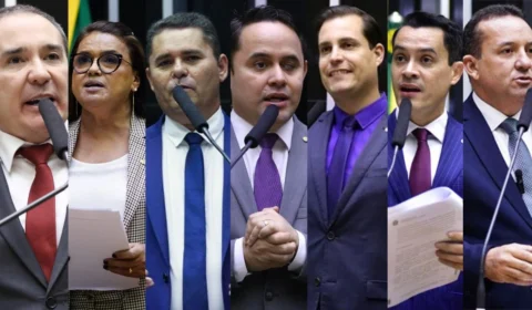 Sete Deputados de Roraima votam por suspender norma do Conanda sobre aborto legal