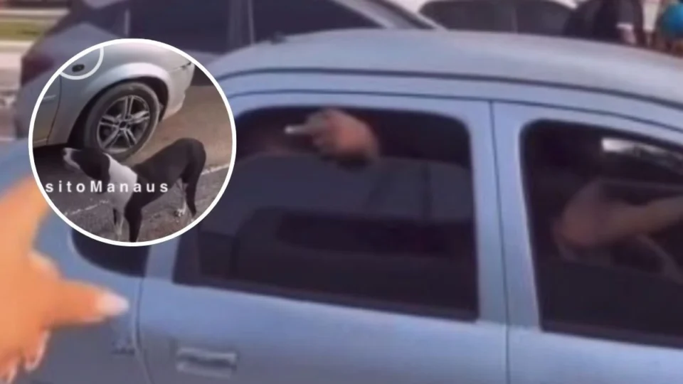 VÍDEO: Cachorro persegue carro após possível abandono e moradora confronta motorista em Manaus