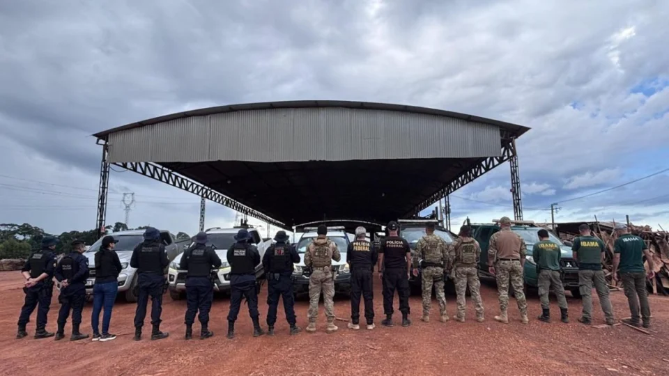 VÍDEO: PF, PMRO e IBAMA desarticulam esquema de madeira ilegal e fecham madeireiras em Nova Mamoré