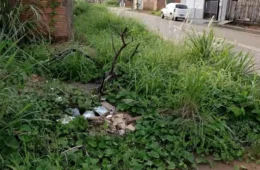 VÍDEO: Terreno baldio causa preocupação a moradores do Mariana, que relatam assaltos e temem novos crimes em Porto Velho