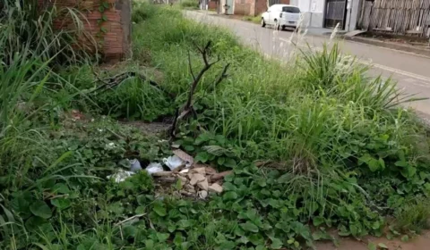VÍDEO: Terreno baldio causa preocupação a moradores do Mariana, que relatam assaltos e temem novos crimes em Porto Velho