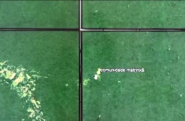 Três caçadores somem em área de floresta densa e mobilizam operação de busca no Acre